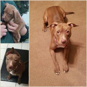 Meet your Posher, Karen